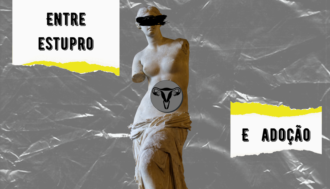 O fundo da imagem é cinza e apresenta um aspecto de plástico amassado. Em primeiro plano, no centro da imagem, há a estátua da Vênus de Milo. Sobre seus olhos há uma venda pintada em tinta preta e, no meio do abdômen da estátua há um buraco, dentro do qual há a figura de um útero em preto. No canto superior esquerdo há a imagem de um papel rasgado com as bordas amarelas, no qual se lê “Entre estupro”; a frase é completada em outro de papel rasgado com as bordas amarelas, próximo ao canto inferior direito, onde está escrito “e adoção”.