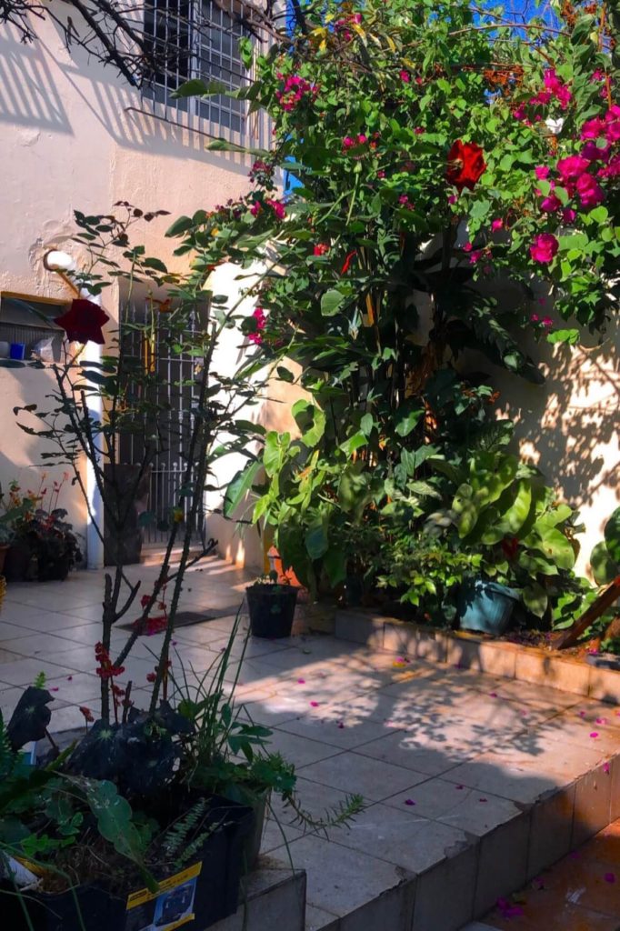 O quintal do silêncio de uma casa florida.